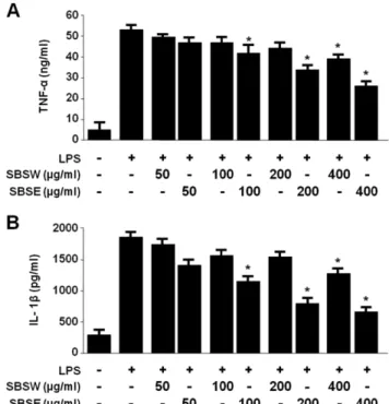 Fig. 6 − Effects of SBSE on HO-1 expression in RAW264.7 cells.