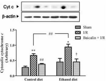 Table I − Effect of baicalin on serum ALT activity, hepatic lipid peroxidation and glutathione content after I/R in alcoholic fatty liver