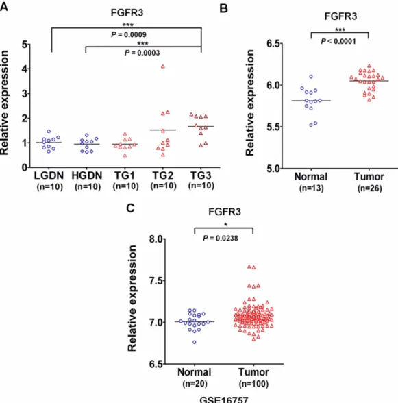 Fig. 1 − Over-expression of FGFR3 mRNA in hepatocellular carcinoma. (A) Analysis of FGFR3 expression from the previously reported large- large-scale gene expression analysis