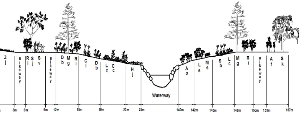 Fig.  4.  A  stratification  of  riparian  vegetation  established  on  AR2  site  in  2016