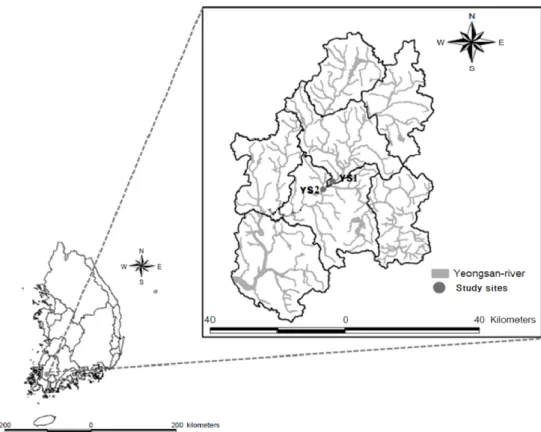 Fig. 1. Location of the two study sites in the Youngsan river.
