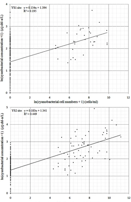 Fig. 3. Relationship between real-time cyanobacterial concentration and cyanobacterial cell counts at each study sites