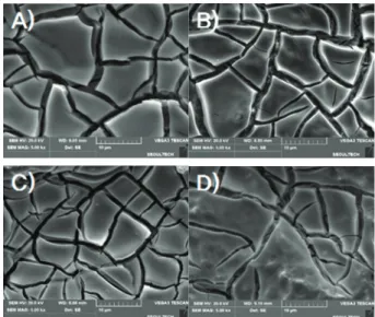 Fig. 4. SEM photograph of Ti/IrO 2 /Ta 2 O 5  electrodes with a  variation of IrO 2  and TaO 5 : A) 100% IrO 2 /Ti, B) 90% 