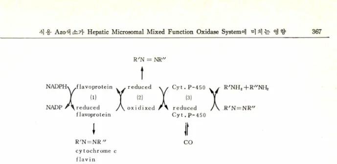 Fig.  2—Pathways  for  the  reduction  of  azo  dyes  by  hepatic  microsomal  enzymes.