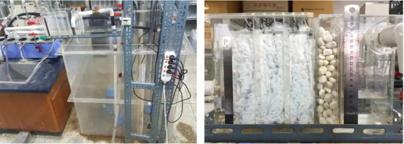 Fig. 4. Filter lay-out and set-up used in this study.