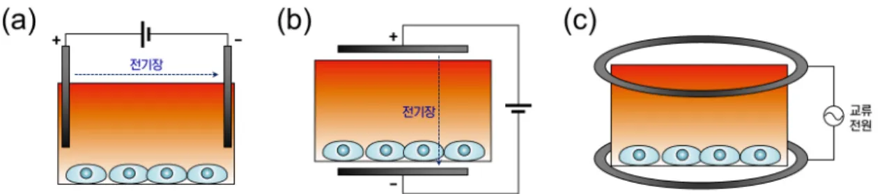 그림 2.   (a) 직류(direct current), (b) 전기용량형 커플링(capacitive coupling), (c) 유도식 커플링(inductive coupling)를 통해 전기장을 형 성한 in vitro 배양환경.