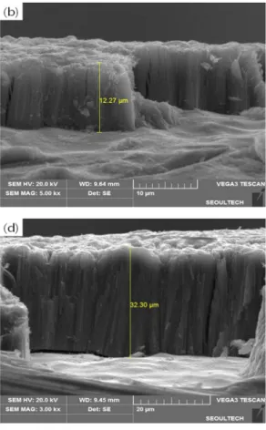 Fig. 6. Morphology of TiO 2  nanotube plate legth to made different applied voltage. (a) 30 V, (b) 40 V, (c) 50 V, (d) 60 V, (e) 70 V