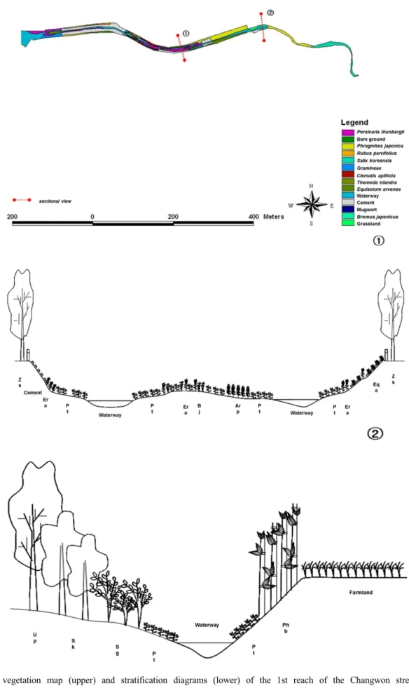 Fig. 3. A vegetation map (upper) and stratification diagrams (lower) of the 1st reach of the Changwon stream