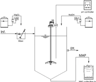 Fig. 1. Schematic diagram of phosphorus recovery system.