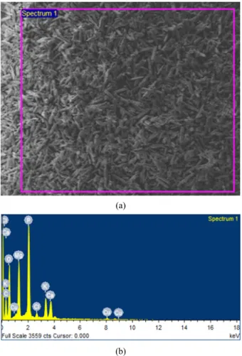 Fig. 5. SEM image (a) and EDS spectrum (b) of MAP crystals.