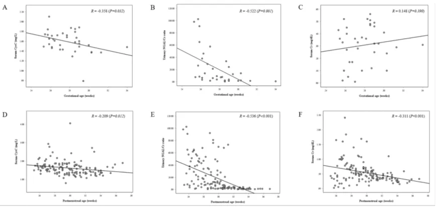 Figure 1. Correlation between renal biomarkers and postconceptional age in samples at birth (A-C) and all samples measured (D-F).