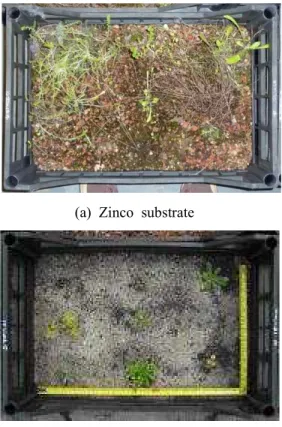Figure  1 Zinco  and  limestone-based  substrates  used  in  the  experiment