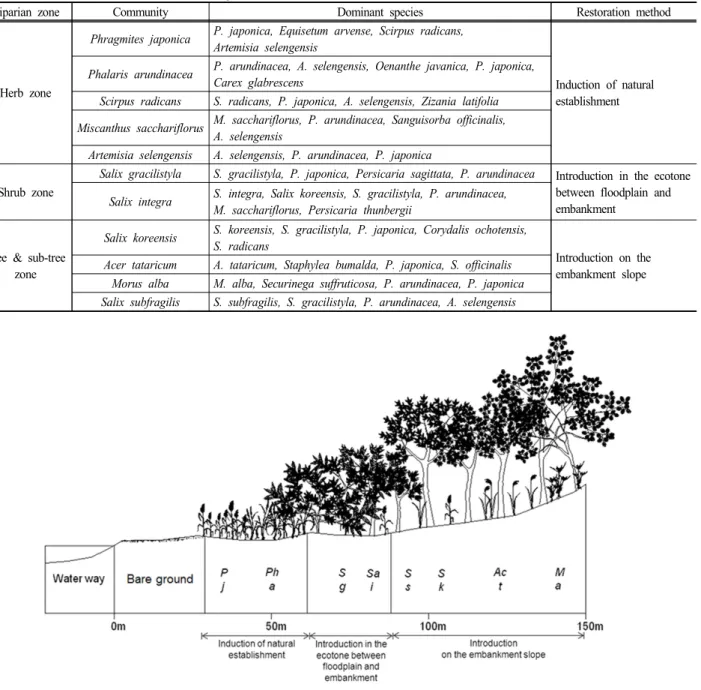 Fig.  11.  A  model  for  a  riparian  vegetation  belt  prepared  by  synthesizing  vegetation  information  collected  from  the  nine  reference  reaches.