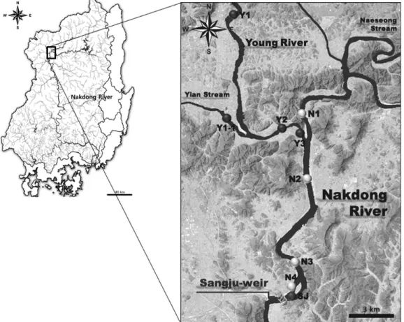 Fig.  1.  Map  showing  the  sampling  stations  in  the  upper  region  of  Nakdong  River.