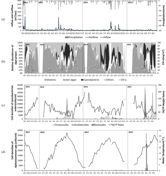 Fig.  2.  Temporal  variations  in  (a)  the  amount  of  daily  precipitation,  inflow  and  outflow,  (b)  relative  abundances  of  algal  groups  and  chl-a,  (c)  cell  densities  of  cyanobacterial  orders  and  TN/TP  weight  ratios,  and  (d)  cell