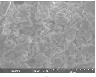 Fig.  2. Recovery  of  microalgae  at  different  pH  with  various  flocculants  (C.  vulgaris concentration  4.35  g/L,   floc-culants  loading  80  mg/L,  volume  of  microalgae  100  mL  and  mixing  time  2  min).