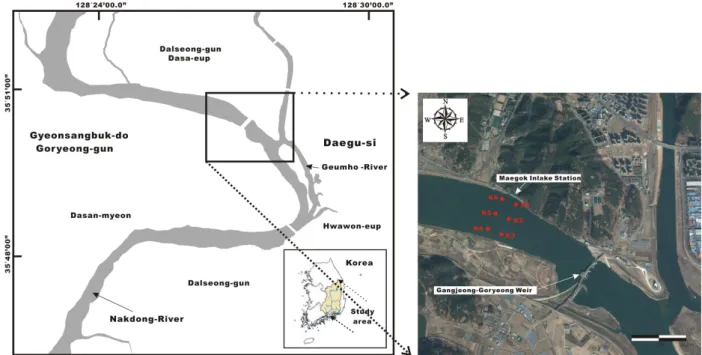 Fig.  1. Map  showing  sampling  site  of  study  area  in  Nakdong-River.상으로 한 것이며,  낙동강 내의 용출특성에 관한 연구도Hwang  et  al