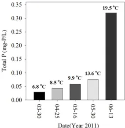 Fig. 5. Concentrations of total phosphorus in the water  samples taken from near the surface of sediment