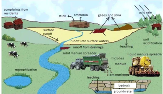 Fig. 1. Role of manure in the determining air and water quality (Baltic Deal, 2012). 암모니아로  변환될  수  있고(Oenema et al., 2001), 토양에  축적된 질소는 지하수 혹은 지표면 유출을 통해 하천으로  유출시 수질 및 주위 환경오염에 미치는 기여율이 매우 높 다(USDA, 2005)