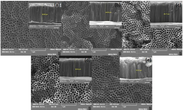 Fig. 3. Current density of anodization at 60 V in ethylene  glycol + 2 vol% H 2 O + varied  NH 4 F wt%.