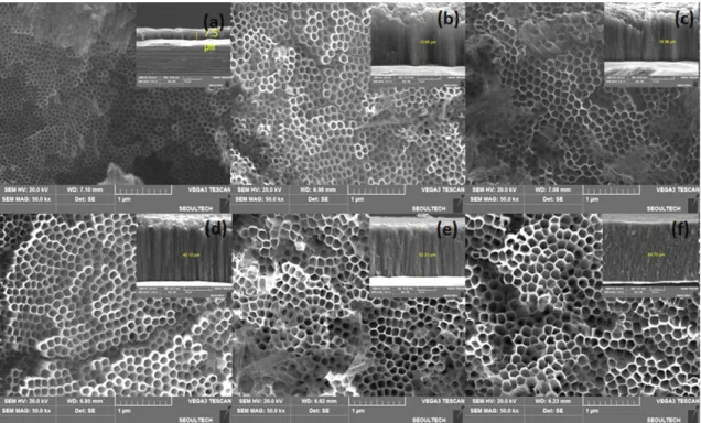 Fig. 7. Current density of anodization at different potentials  in ethylene glycol + 0.2 wt% NH 4 F + 2  vol%  H 2 O.