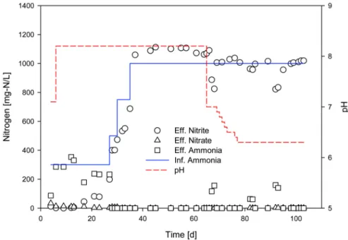 Fig. 1. Phylogenetic tree of ammonia-oxidizing bacteria  detected by NEU and Nsv443 probes.