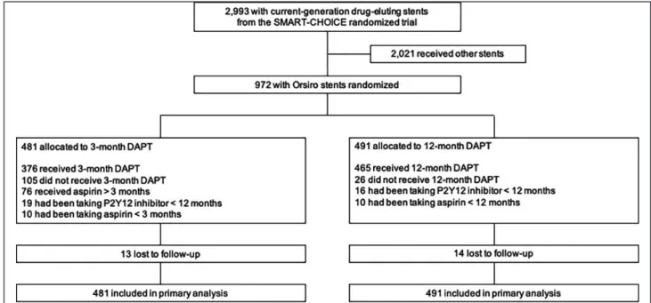 Figure  1 demonstrates participants’ flow in the pre- pre-sent study. Table  1 reprepre-sents baseline clinical,  an-giographic, and procedural characteristics according 