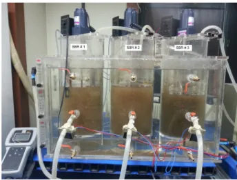 Table 2. Experimental conditions of SBR process Experimental conditions Vol., L Influent flowrate, L/day pH SRT,days HRT,hours