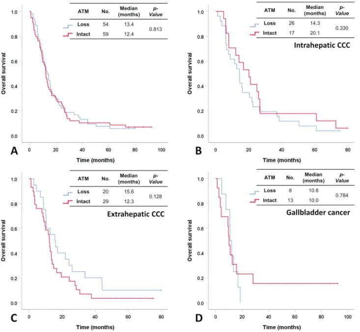 Figure 1. Overall survival after first-line gemcitabine and platinum according to ATM expression in patients with biliary tract cancer
