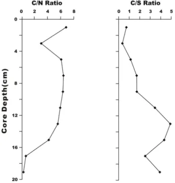 Table 1. Sediment pollution evaluation Standard(NIER) and Ontario sediment quality guidelines(CCME)