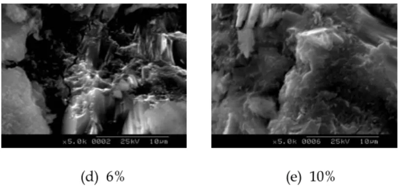 Fig. 1 Microstructure of EVA powder modified concrete with various EVA content