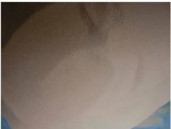 Fig. 1. A acorn powder.