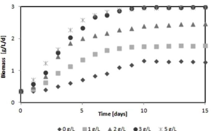 Fig. 2. Biomass productivity by different particle size of acorn.