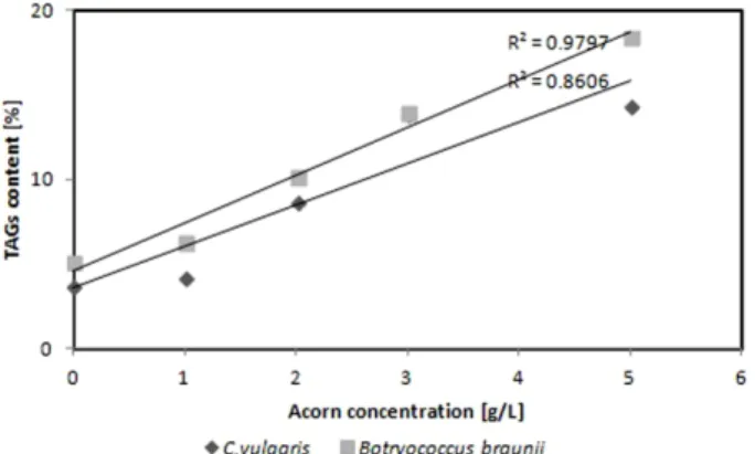 Fig. 5. The relationship between TAGs and acorn concentration. 이는 약 0.44%로 많지 않았지만 B. braunii 는 5 g/L의 도 토리의 농도가 3 g/L의 도토리 농도 보다 4.39%  많은 TAGs  함량을 나타내었다