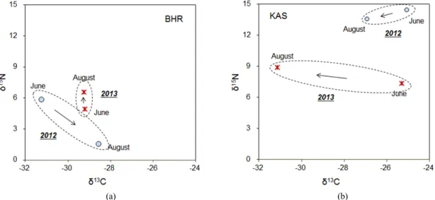 Fig. 6.  δ 13 C and δ 15 N values of June and August samples in 2012 and 2013. (a) Bughan river (BHR), (b) Kyeongan stream (KAS)이상 차이를 보였고,  강우로 유입량이 큰 폭으로 증가된 이후 8월에 6.5 ‰ ~ 7.4 ‰ 정도로 약 1 ‰ 이내의 차이만 나타냈다