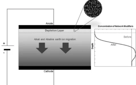 Figure  4.  Schematic  representation  of  thermal  poling.  Alkali  and  alkaline  earth  ions  move  towards  the  cathode  under  the  effect  of  an  external  electric  field  leaving  a  depletion  layer  under  the  anode[56]