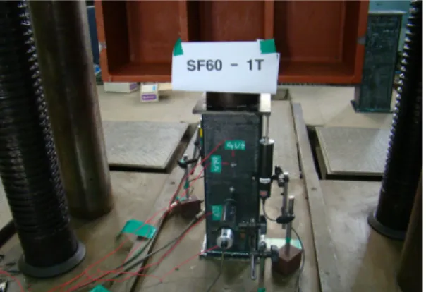 Fig. 4. Test setup (SF60-1T) 