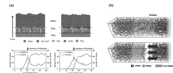 Figure  9.  (a)  Slice  images  of  equilibrated  molecular  structures  of  pms-WS 2 /Nafion  model  by  MD  simulation  with  10  wt% 
