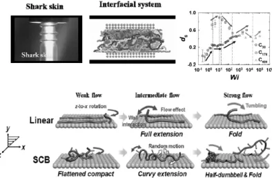 Figure  7.  Nonequilibrium  molecular  dynamics  simulation  of  an  interfacial  polymer  melt[27,29].