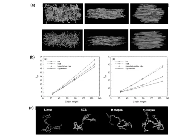 Figure  9.  Entanglement  network  analysis.  (a)  Snapshots  of  linear  polymer  melt  under  flow  conditions  and  corresponding  primitive  paths