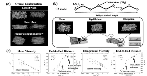Figure 2.  Molecular  dynamics  simulation  of  linear polymer  melts  under  shear  and  elongational  flows