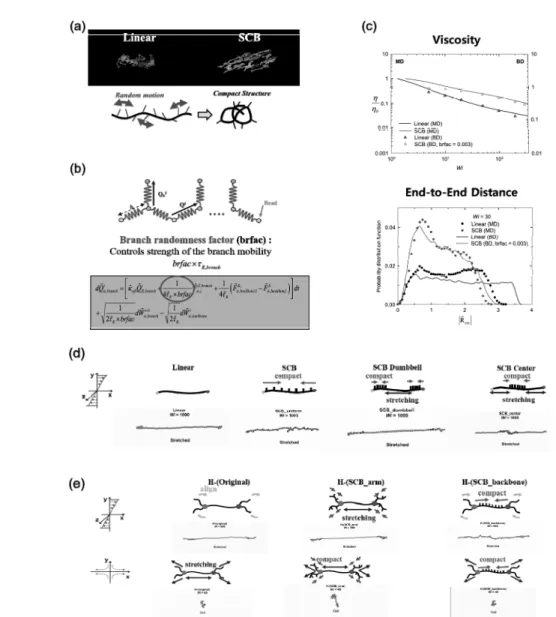 Figure  4.  Short-chain  branched  (SCB)  polymer  melt.  (a)  Random  motion  of  short  branch