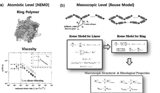 Figure  5.  Nonequilibrium  molecular  dynamics  simulation  of  a  ring  polymer  melt