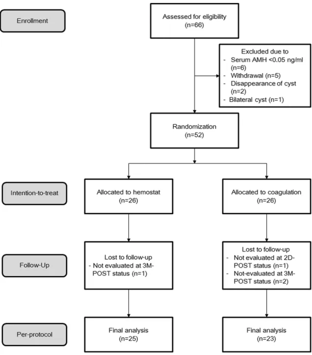 Figure 1.  Flowchart based on Consolidated Standards of Reporting Trials.