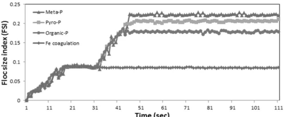 Fig. 5. Floc growth of non-reactive phosphorus with Fe/P molal ratio 3 and H 2 O 2 /Fe molal ratio 4
