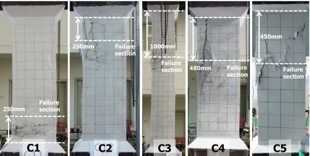 Fig. 4. Failure modes of specimens after the end of testing