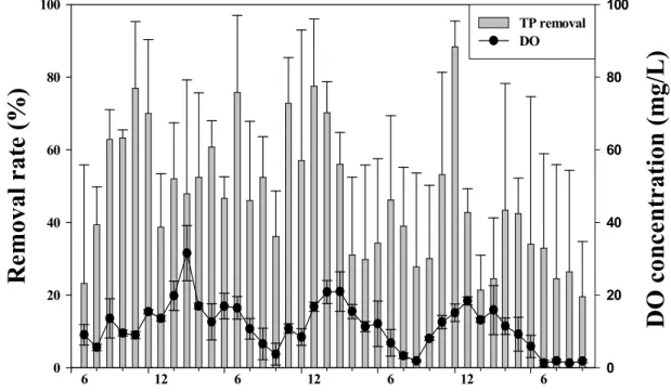Fig. 4. Monthly average T-P removal for the wetlands and comparison of DO concentration.