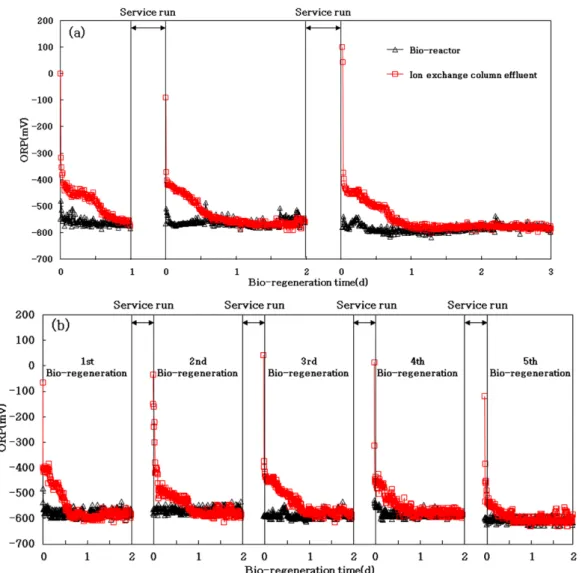 Fig. 7. Changes in ORP during bio-regeneration test((a) repeated bio-regeneration from Cycle 2, (b) repeated bio-regeneration  from Cycle 3)
