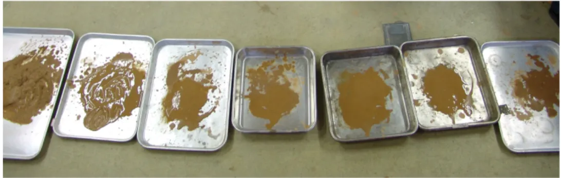 Fig. 3. The view of particle size distribution sample.은 38 μm  이하에서부터 335 μm  초과까지의 6구간으로 나누어 분류하였다.2.3