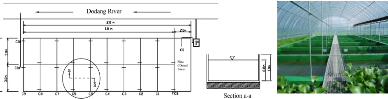 Fig. Plan view and photo of the oxidation pond from left